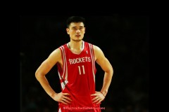 足球直播-法甲球队阵容架构分析：年龄结构、位置深度与经验分布